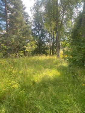 Foto - andere in Berlin