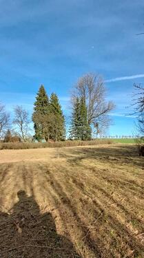 Foto - Einfamilienhaus in Reinsberg