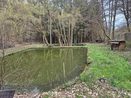 Foto - Grundst&uuml;ck zur Miete in Langweiler