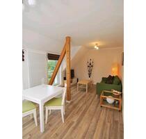 Warmmiete: Vollständig möbl. 2 Zi. Wohnung (55m²) alles inkl - Oberursel (Taunus)
