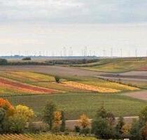 Schreber Klein Garten Freizeitgrundstück Zaun Haus Bachlauf - Mommenheim