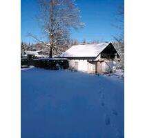 Ferienhaus bei Wernigerode Harz Hund Grundstück eingezägr. Garten - Herdecke