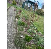 Pachtgarten in Zeulenroda - 500,00&nbsp;EUR Kaltmiete, ca.&nbsp; 0,00&nbsp;m&sup2; in Zeulenroda-Triebes (PLZ: 07937)