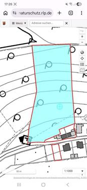 Foto - 5 Zimmer Einfamilienhaus zum Kaufen in Monzelfeld