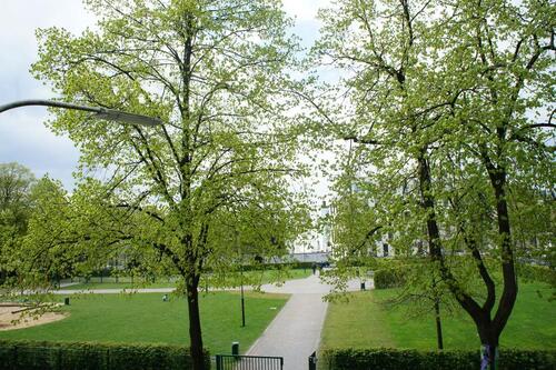 Foto - Etagenwohnung zur Miete in Wuppertal