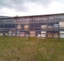 BAUMARKT GEWERBEGRUNDSTÜCK 6.643 qm VERKAUFS- LAGERHALLE BAUPLATZ - Grabow