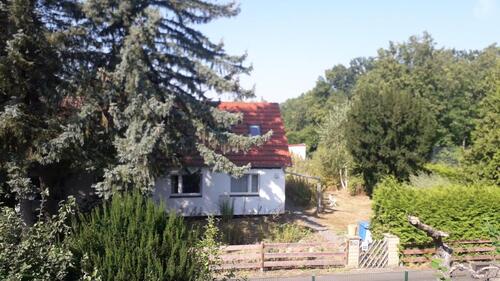 Foto - WG Zimmer Tegel - mit großem Garten