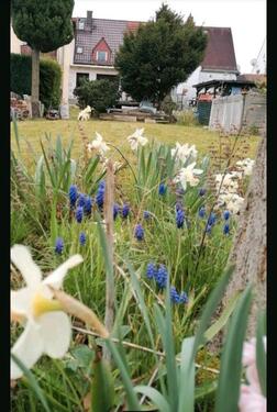 Foto - 2 Zimmer Einfamilienhaus zum Kaufen in Gera