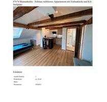 Möbliertes Apartment - 550,00&nbsp;EUR Kaltmiete, ca.&nbsp; 25,00&nbsp;m&sup2; in Bidingen (PLZ: 87651)