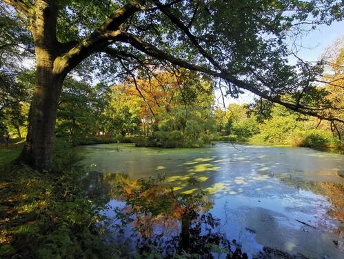 Foto - andere in Wilster