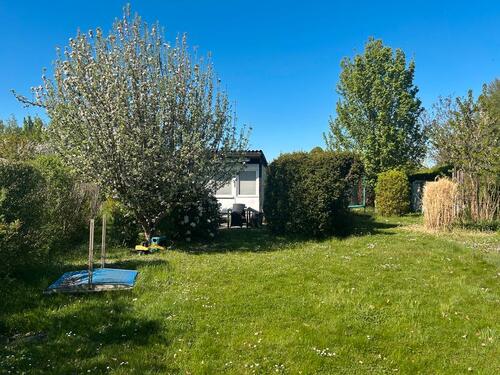 Foto - Grundstück zur Miete in Dessau-Roßlau