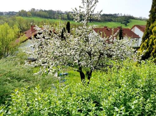 Foto - Einfamilienhaus in Gera