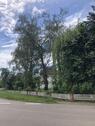 Foto - 4.5 Zimmer Einfamilienhaus in Riegel am Kaiserstuhl
