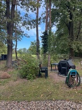 Foto - 6 Zimmer Einfamilienhaus zum Kaufen in Bernau bei Berlin