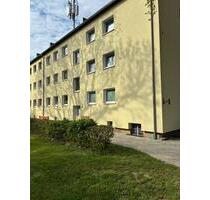 Wir renovieren für Sie! 3 Zimmer Wohnung mit Garten und Balkon im modernisierten Objekt! - Salzgitter Ortschaft Nord