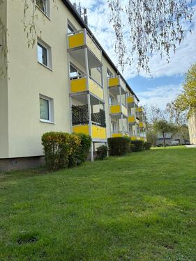 Foto - 3 Zimmer Erdgeschoßwohnung zur Miete in Salzgitter