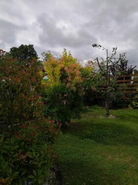 Foto - 