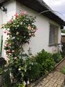 Foto - Kleingarten Schrebergarten - 1.300,00&nbsp;EUR Kaltmiete, ca.&nbsp; 0,00&nbsp;m&sup2;