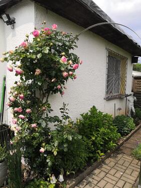 Foto - Kleingarten Schrebergarten - 1.300,00&nbsp;EUR Kaltmiete, ca.&nbsp; 0,00&nbsp;m&sup2;