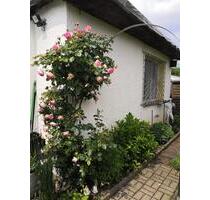 Kleingarten Schrebergarten - 1.300,00&nbsp;EUR Kaltmiete, ca.&nbsp; 0,00&nbsp;m&sup2; in Sangerhausen (PLZ: 06526)