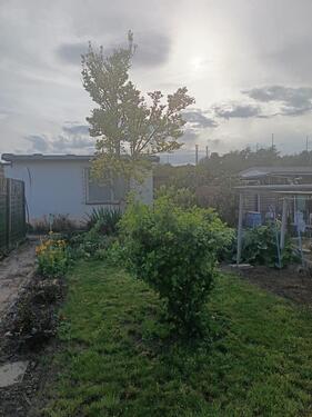Foto - Grundst&uuml;ck in Sangerhausen zur Miete