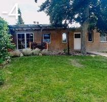 Immobilien Quartett besondere Art - Grimma