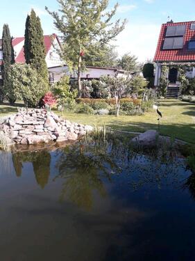 Foto - 