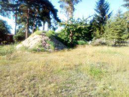 Foto - Einfamilienhaus in Lauchhammer zum Kaufen