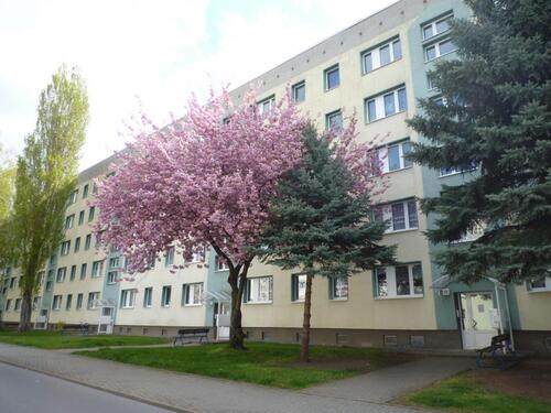 Foto - 3 Raum-Wohnung mit Balkon in Nord