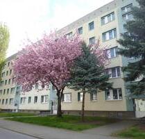 3 Raum-Wohnung mit Balkon in Nord - Staßfurt