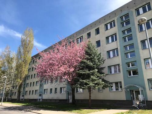 Foto - Etagenwohnung in Staßfurt zur Miete