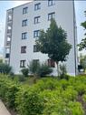 Foto - 4 Zimmer Etagenwohnung zur Miete in Halle (Saale)