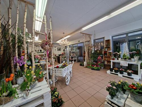 Foto - andere zur Miete in Celle