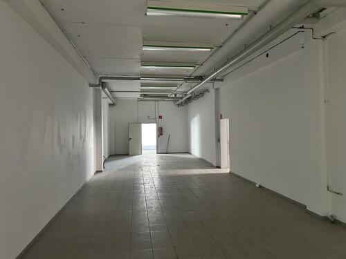 Foto - andere in Bingen am Rhein