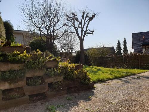 Foto - 2.5 Zimmer Terrassenwohnung in Ehrenkirchen