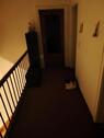 Foto - Etagenwohnung in Frankfurt am Main zur Miete