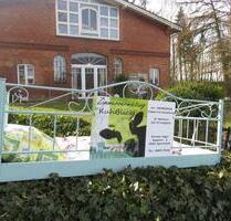 Zimmer Vermietung, Gästezimmer, WG, Monteurzimmer, Ferienwohnung - Wrist