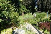 Foto - 6 Zimmer Bungalow zum Kaufen in Rosendahl