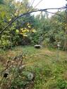 Foto - 4 Zimmer Einfamilienhaus zum Kaufen in Oranienburg