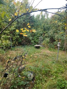 Foto - 4 Zimmer Einfamilienhaus zum Kaufen in Oranienburg