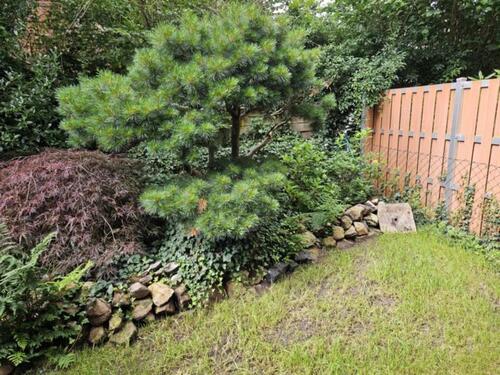 Foto - Etagenwohnung in Westerstede zur Miete