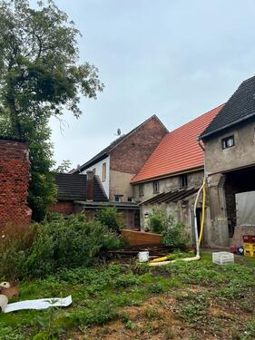 Foto - Einfamilienhaus in Oranienbaum-Wörlitz zum Kaufen