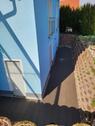 Foto - Einfamilienhaus in Monsheim zum Kaufen