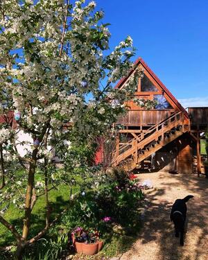 Foto - 1.5 Zimmer Einfamilienhaus zur Miete in Belgern-Schildau