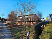 Foto - Bungalow mit Waldgrundstück - 50.000,00&nbsp;EUR Kaufpreis, ca.&nbsp; 50,00&nbsp;m&sup2;