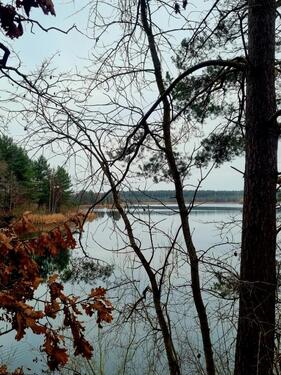 Foto - Helle, freundliche 3 Raumwohnung im Top Zustand zu vermieten