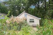Foto - Ferienhaus in Schoorl 17.4-24.4 und 15.5-22.5
