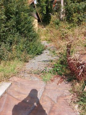 Foto - andere in Helsa