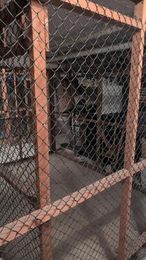 Foto - andere in Flensburg