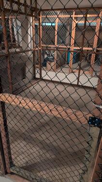 Foto - andere in Flensburg zur Miete